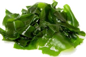 Wakame